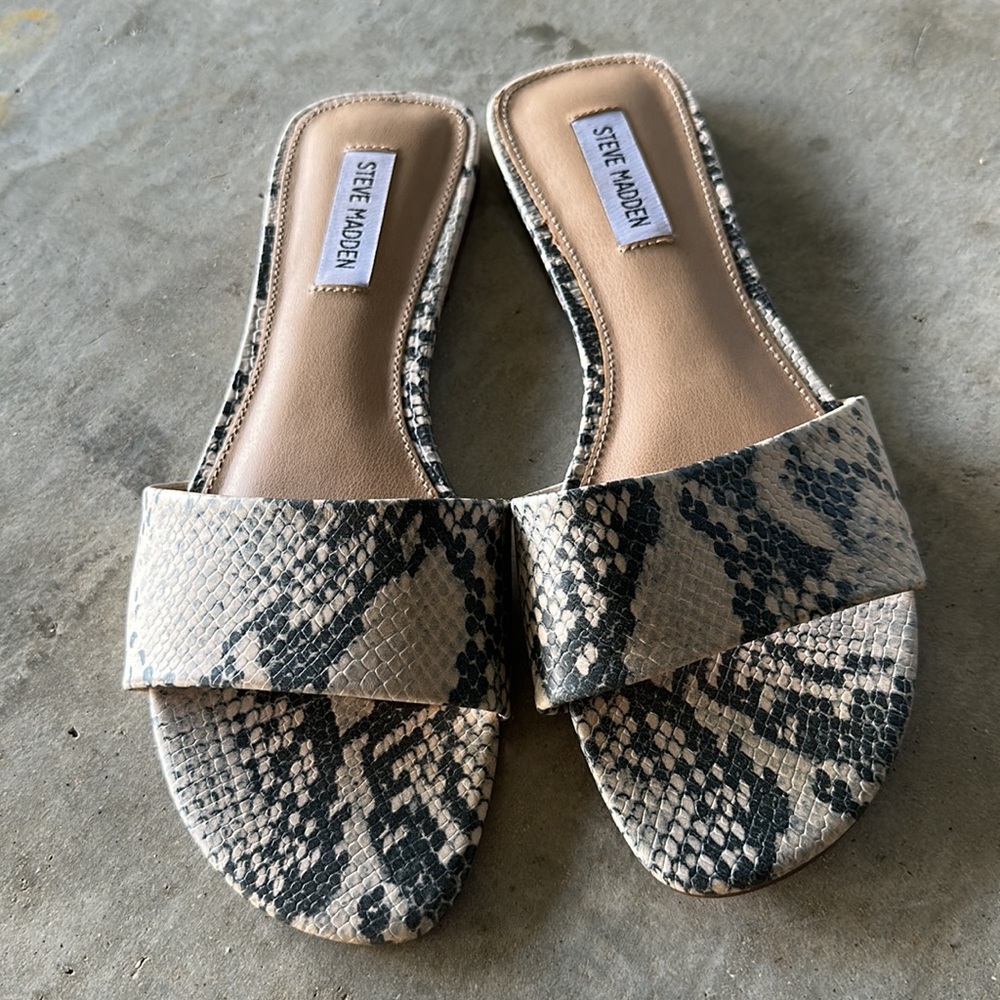 Steve Madden Snake Slides